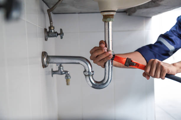 Best Local Plumber Services  in Dunlap, IN